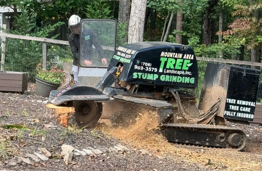 stump Grinding service stump Grinding service