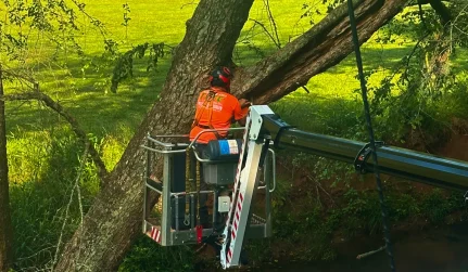 Content, Cards Slider 1